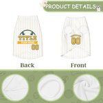 Personlig Baseball Element 100% bomull Pet Stripe Jersey Vest med namn och nummer Födelsedag Sporttillbehör Present för hundälskare Baseball Fans
