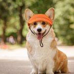 Personalised 2 Pcs Owner and Dog Embroidered Name Cap Set with with Ear Holes and Adjustable Strap Birthday Gift for Dog Mom Dad Pet Lovers