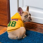Personalizzato Multicolore Nome Numero Caldo Morbido Cane Maglia con Cappuccio per Tutte le Razze Carino Pet Gioco Giorno Festa Costume Festival Compl