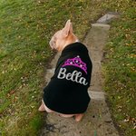 Personalizzato Multicolore Flocked Crown Caldo morbido cane felpa con cappuccio con glitter nome per tutte le razze Carino Pet Party Costume Festival Compleanno regalo