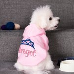 Personalizzato Multicolore Flocked Crown Caldo morbido cane felpa con cappuccio con glitter nome per tutte le razze Carino Pet Party Costume Festival Compleanno regalo
