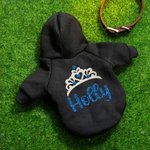 Personalizzato Multicolore Flocked Crown Caldo morbido cane felpa con cappuccio con glitter nome per tutte le razze Carino Pet Party Costume Festival Compleanno regalo