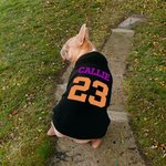 Personalizzato Multicolore Nome Numero Caldo Morbido Cane Maglia con Cappuccio per Tutte le Razze Carino Pet Gioco Giorno Festa Costume Festival Compl