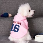 Personalizzato Multicolore Nome Numero Caldo Morbido Cane Maglia con Cappuccio per Tutte le Razze Carino Pet Gioco Giorno Festa Costume Festival Compl