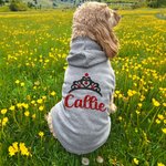 Personalizzato Multicolore Flocked Crown Caldo morbido cane felpa con cappuccio con glitter nome per tutte le razze Carino Pet Party Costume Festival Compleanno regalo