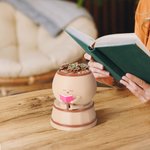 Personalized Cute Pot Reading Book Planter with Name Home Decor Birthday Housewarming Gift for Bookworm Plant Lover