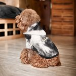 Personalisierte Faux Rindsleder drucken kleine Hundekatze Hoodie Kleidung mit Namen Haustier Versammlung Hund spazieren Geschenk für Tierliebhaber