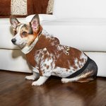 Personalisierte Faux Rindsleder drucken kleine Hundekatze Hoodie Kleidung mit Namen Haustier Versammlung Hund spazieren Geschenk für Tierliebhaber