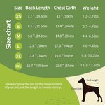 Personalisierte Faux Rindsleder drucken kleine Hundekatze Hoodie Kleidung mit Namen Haustier Versammlung Hund spazieren Geschenk für Tierliebhaber