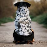 Personalisierte Faux Rindsleder drucken kleine Hundekatze Hoodie Kleidung mit Namen Haustier Versammlung Hund spazieren Geschenk für Tierliebhaber