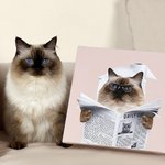 Personalised Funny Dog Cat Reading Newspaper on Toilet Wall Art Painting Pet Portrait Bathroom Decor Housewarming Gift for Pet Owners