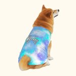 Personalised Multicolour Tie-dyed 100% Cotton Dog Pet Shirt Clothes with Name Pet Gathering Dog Walking Gift for Pet Lovers