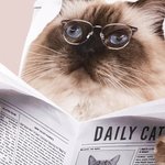 Personalised Funny Dog Cat Reading Newspaper on Toilet Wall Art Painting Pet Portrait Bathroom Decor Housewarming Gift for Pet Owners