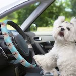 Personalized Funny Multicolour Dog Cat Face Photo Anti-slip Elastic Steering Wheel Cover Birthday Gift for Family Friend