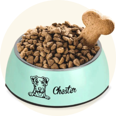 For Pet Lovers