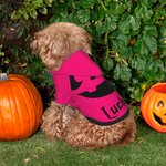 Personlig Gresskar Ansikt Myk varm valp hund hettegenser klær med navn bursdag Halloween kostyme gave til kjæledyr elsker eier