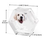 Caja conmemorativa magnética personalizada con foto y nombre para perro, gato o mascota con alas de ángel.