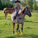 Personalised Funny Adjustable Set of 2 Turkey Feet Horse Costume with Hook and Loop Horse Accessories Halloween Gift for Horse Lover