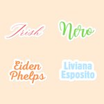 Personalized Multicolour Waterproof Vinyl Text Sticker Name Label for Laptop Notebook Water Bottle Back to School Office Gift for Women Girls