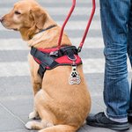 Personalised Dog Paw Bone Leather Keychain with Embroidery Name Bag Pet Waistcoat  Decoration Christmas Birthday Gift for Pet Lover