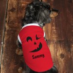 Spersonalizowana twarz dyni 100% bawełniana koszulka bez rękawów dla psa z imieniem Śmieszny kostium dla zwierzaka Prezent na Halloween dla właścicieli miłośników zwierząt