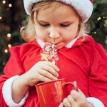 Personalized Santa Claus Elk Photo Straw Topper Accessories for Stanley Tumbler Cup Party Favor Christmas Gift for Family Friend