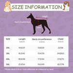 Spersonalizowana twarz dyni 100% bawełniana koszulka bez rękawów dla psa z imieniem Śmieszny kostium dla zwierzaka Prezent na Halloween dla właścicieli miłośników zwierząt