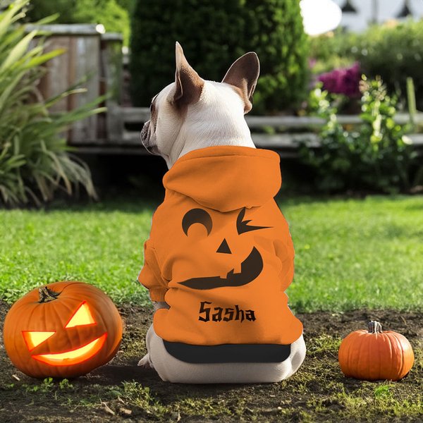 Gepersonaliseerde Pompoen gezicht zachte warme Puppy hond Hoodie kleding met naam Verjaardag Halloween kostuum Gift voor huisdier Lover eigenaar