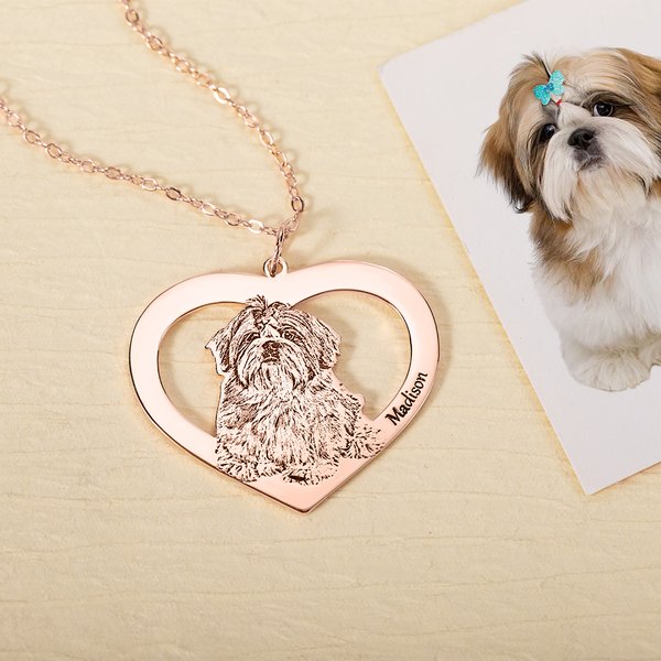 Collier en Forme de Coeur Personnalisé avec Nom Gravé et Photo de Chien Chat Cadeau Commémoratif d'Anniversaire pour Amoureux des Animaux de Compagnie