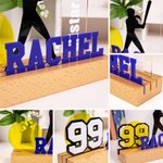 Personalized Acrylic Softball Player Silhouette Plaque with Number and Name Home Decor Christmas Birthday Gift for Sport Lovers