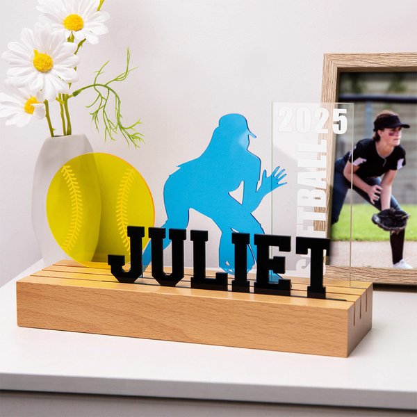 Personalised Acrylic Softball Player Silhouette Plaque with Number and Name Home Decor Christmas Birthday Gift for Sport Lovers