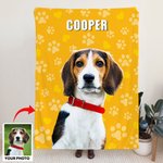 Pittura ad olio personalizzata Cat Dog Pet Portrait Paw Prints Soft Throw Blanket with Name Home Decor Christmas Birthday Gift for Pet Lovers