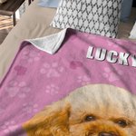 Pittura ad olio personalizzata Cat Dog Pet Portrait Paw Prints Soft Throw Blanket with Name Home Decor Christmas Birthday Gift for Pet Lovers