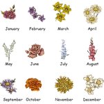 Personalized Birth Flower Garden Soft Throw Blanket with Title and Christmas Birthday Gift for Mom Grandma