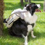 Personalized Detachable Funny Plush Golf Caddy Bag with Adjustable Dog Harness Waistcoat and Reflective Leash Gift for Golf Players Pet Owners