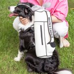Personalized Detachable Funny Plush Golf Caddy Bag with Adjustable Dog Harness Waistcoat and Reflective Leash Gift for Golf Players Pet Owners