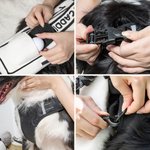 Personalized Detachable Funny Plush Golf Caddy Bag with Adjustable Dog Harness Waistcoat and Reflective Leash Gift for Golf Players Pet Owners