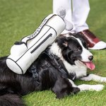 Personalized Detachable Funny Plush Golf Caddy Bag with Adjustable Dog Harness Waistcoat and Reflective Leash Gift for Golf Players Pet Owners