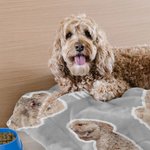 Coperta personalizzata da 1 a 6 foto di cani e gatti con nome Regalo di Natale di compleanno per gli amanti degli animali domestici