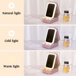 Personalized Cartoon Character Birth Flower Leather Jewelry Box with LED Three-color Makeup Mirror Travel Essential Birthday Gift for Women