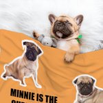Coperta personalizzata da 1 a 6 foto di cani e gatti con nome Regalo di Natale di compleanno per gli amanti degli animali domestici