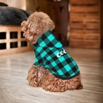 Personalizado clásico a cuadros suave caliente cachorro perro sudadera con capucha con nombre regalo de cumpleaños para el amante del animal doméstico