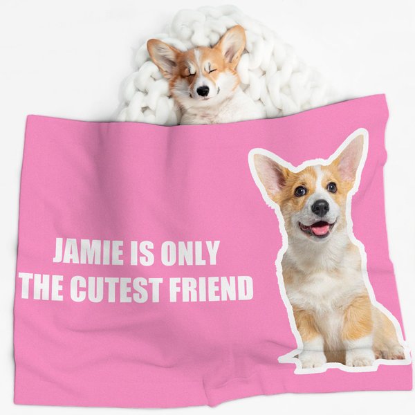 Coperta personalizzata da 1 a 6 foto di cani e gatti con nome Regalo di Natale di compleanno per gli amanti degli animali domestici