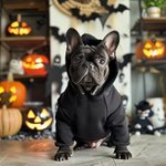 Gepersonaliseerd Gloeiend Skelet Beenderen Warme Zachte Hond Kat Hoodie met Naam voor Alle Rassen Schattig Huisdier Feest Kostuum Verjaardag Halloween