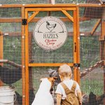 Personalized Rural Charm Wooden Chicken Coop Sign with Text Farm Decor Housewarming Gift for Chicken Enthusiasts