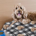 Personalised Multicolour Plaid Dog Cat 1-3 Photos Soft Throw Blanket with Name Christmas Birthday Gift for Pet Lovers