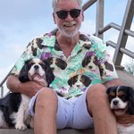 Personalized Dog Cat Character Portrait Hawaiian Shirt Beach Party Birthday Gift for Men Women Pet Lover