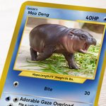 Henkilökohtainen Funny Moo Deng Baby Hippo Photo Classic Poke Card nimi ja kansi Card Game Collection syntymäpäivälahja Moo Deng fanit