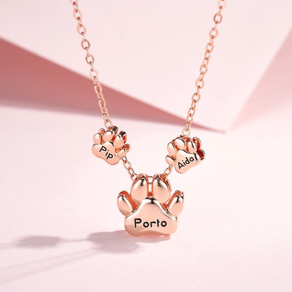 Gepersonaliseerde 1-4 Bubble Pet Paws Halsketting met Gegraveerde Naam Minimalistisch Verjaardagsgeschenk voor Kat Hond Huisdierliefhebbers