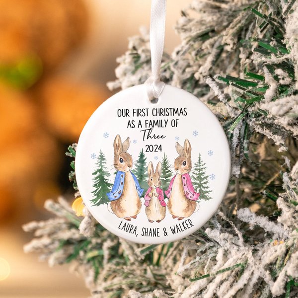 Personalizzato Il nostro primo Natale in famiglia Peter Rabbit Ornamento natalizio in ceramica con nome appeso Regalo decorativo per la famiglia
